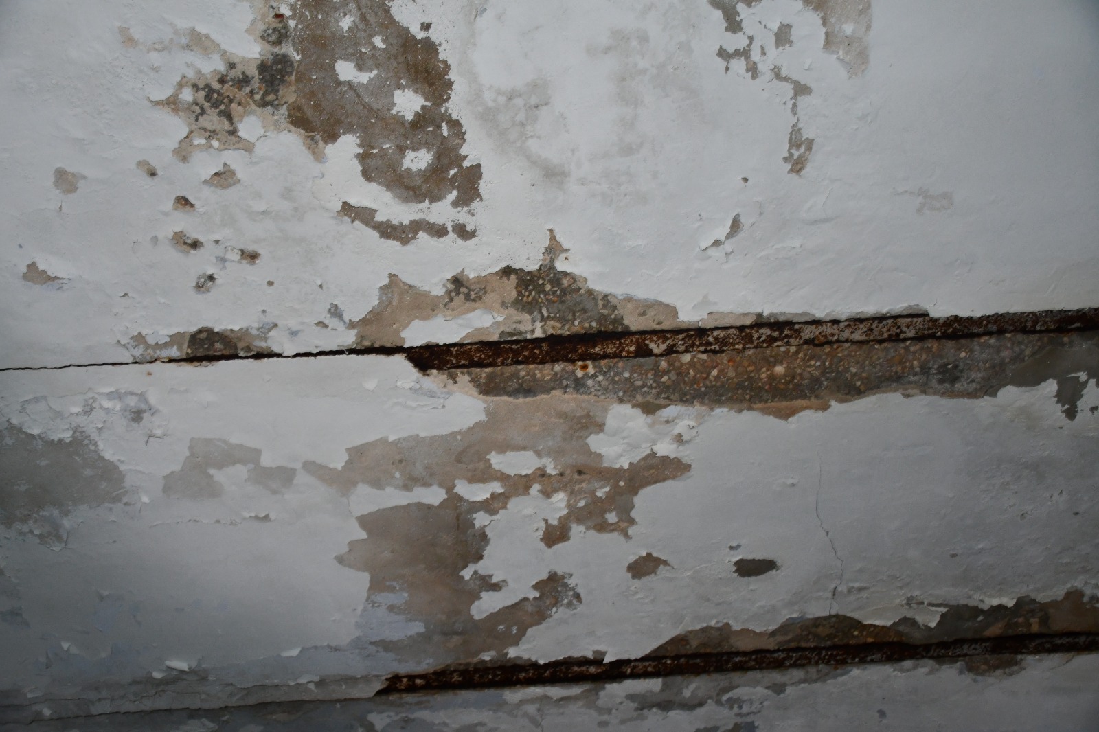 WhatsApp Image 2020-02-10 at 11.22.46 AM (1).jpeg.jpeg